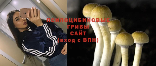 стафф Абаза