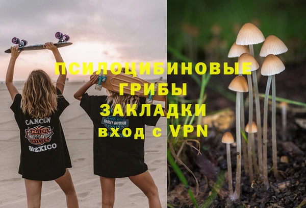 дурь Семилуки