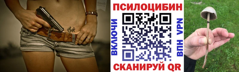 закладка  Звенигород  Псилоцибиновые грибы ЛСД 