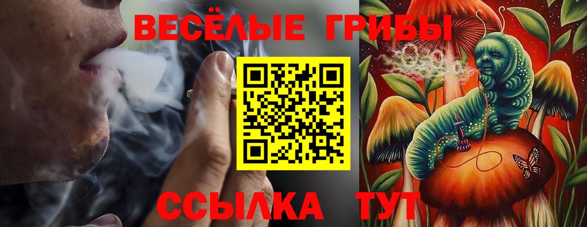 Галлюциногенные грибы прущие грибы Звенигород