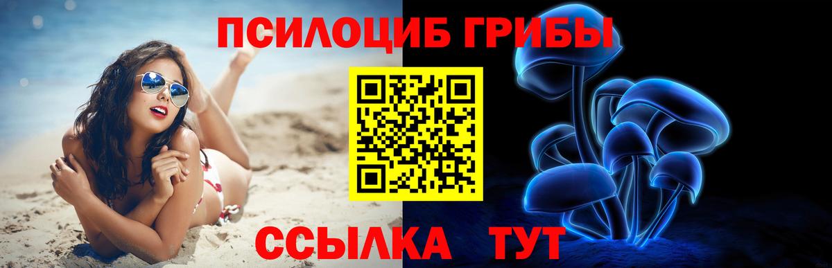 Псилоцибиновые грибы Psilocybine cubensis  Вход с VPN  купить наркотики цена  Звенигород  Галлюциногенные грибы Psilocybe 